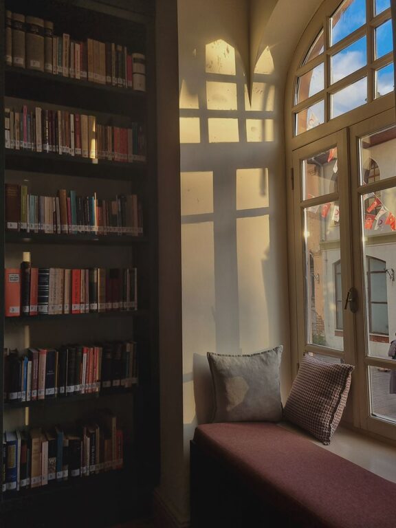 resized_249033